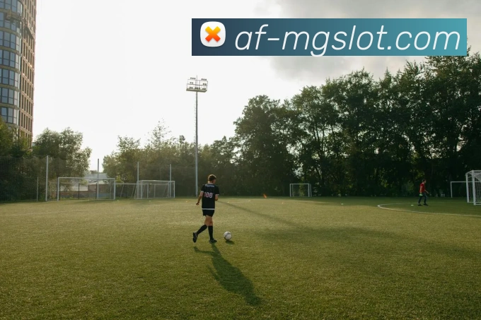 多媒体互动体验